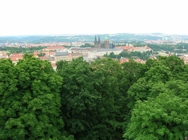 img00033.jpg