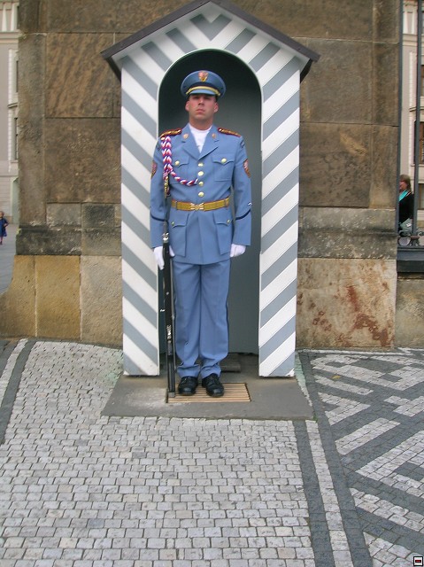 img00038.jpg