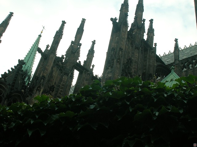 img00040.jpg
