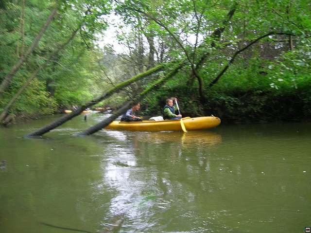 img00004.jpg