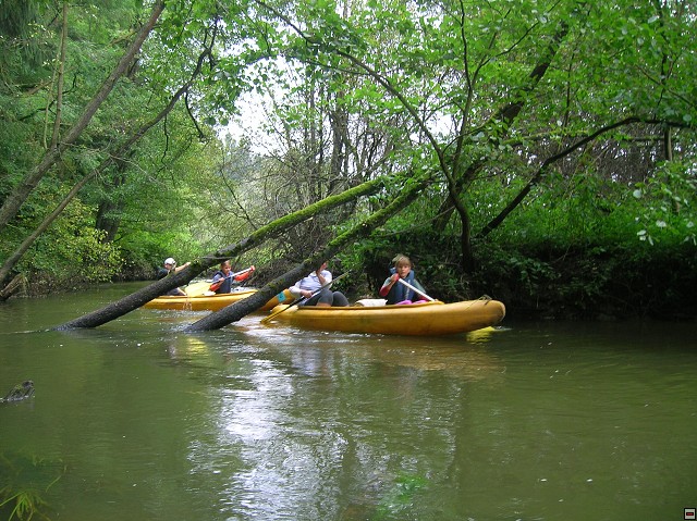 img00005.jpg