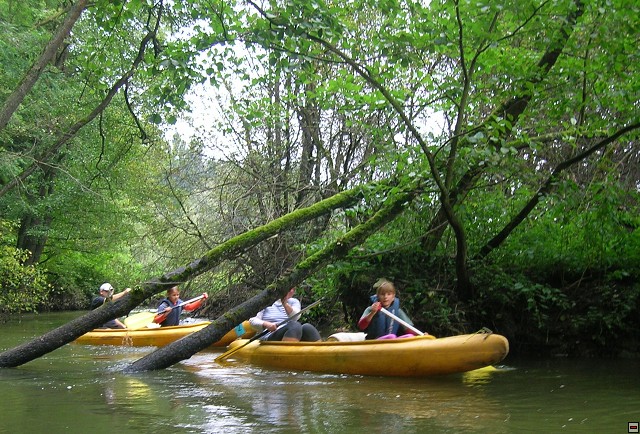 img00006.jpg