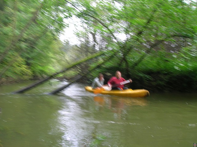 img00007.jpg