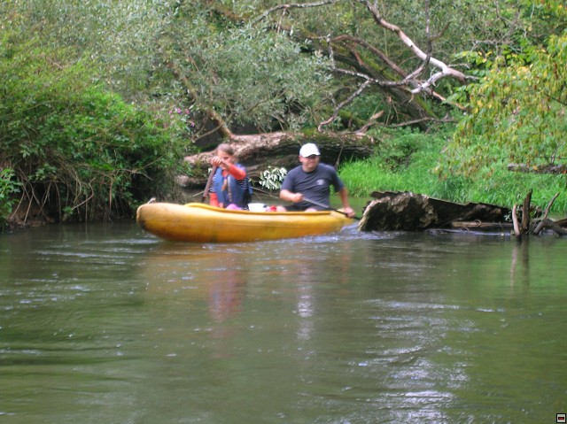 img00012.jpg