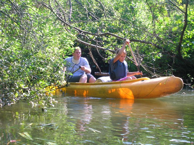 img00013.jpg