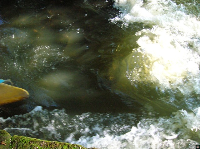 img00014.jpg