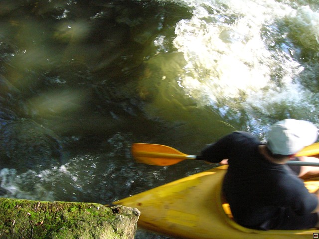 img00016.jpg