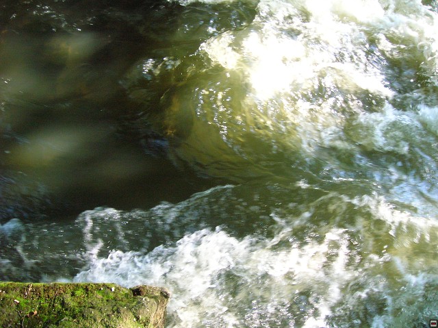 img00017.jpg