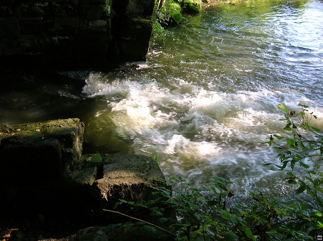 img00018.jpg
