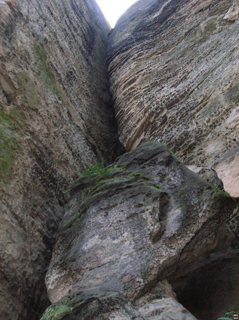 img00007.jpg