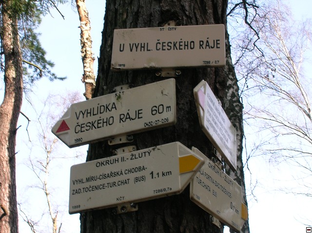 img00009.jpg