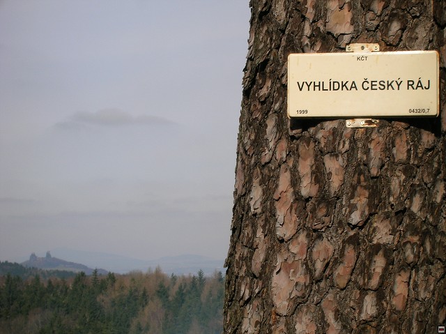 img00010.jpg