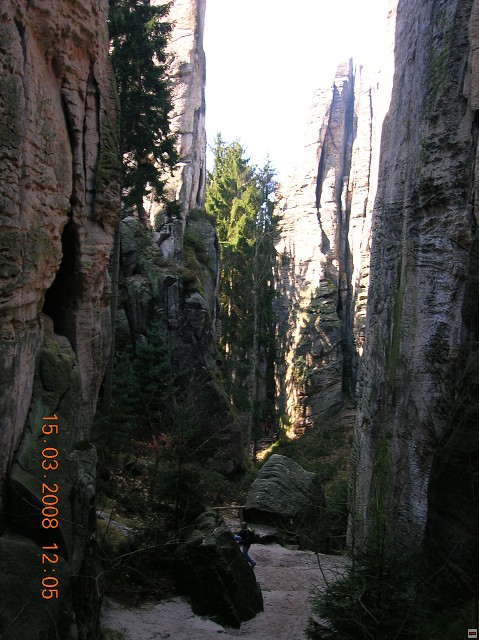 img00037.jpg
