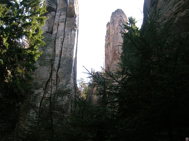 img00038.jpg