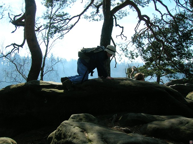 img00040.jpg