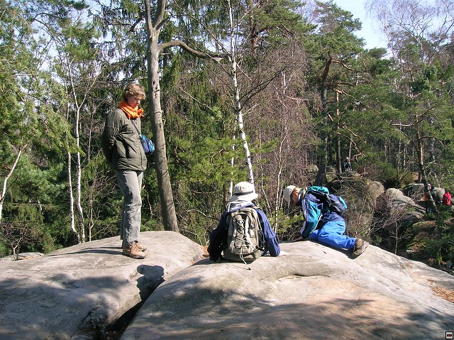 img00042.jpg