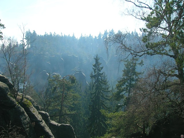 img00043.jpg