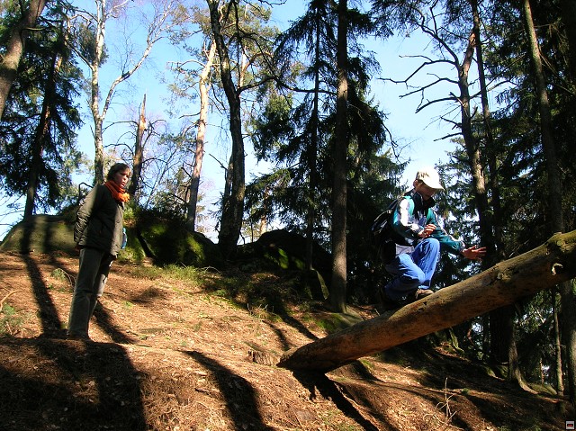 img00049.jpg