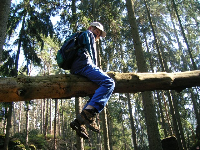 img00051.jpg