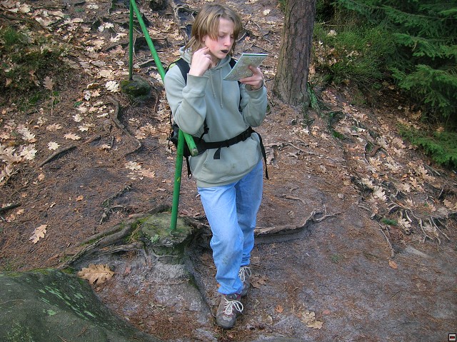 img00061.jpg