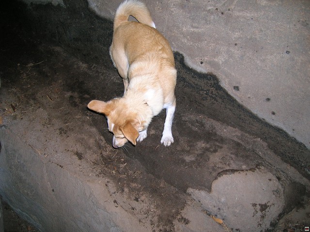 img00071.jpg