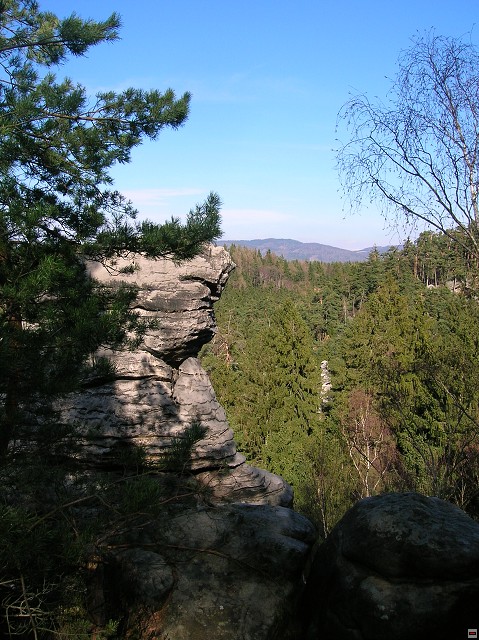 img00078.jpg