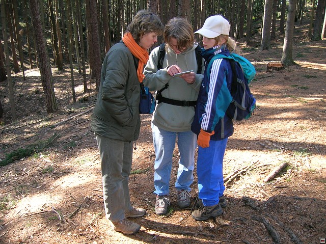 img00081.jpg