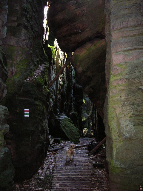 img00082.jpg