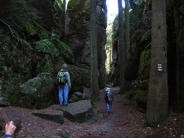 img00084.jpg