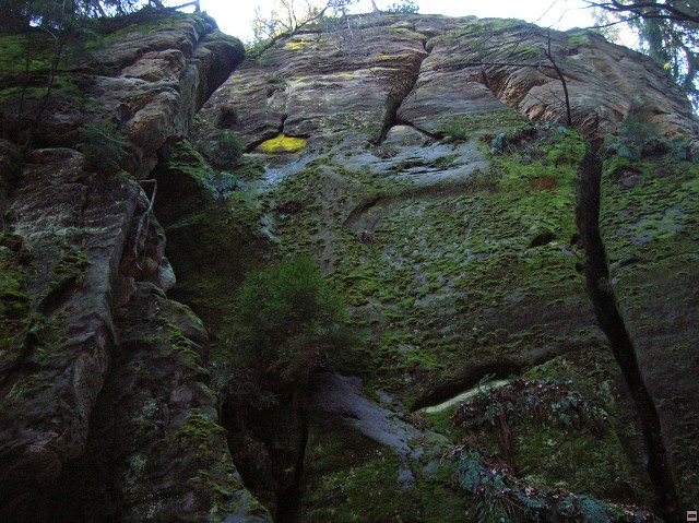 img00086.jpg