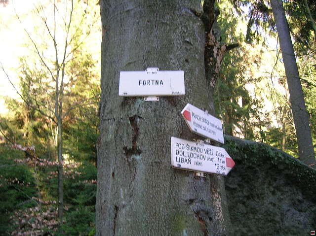 img00087.jpg