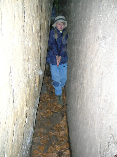 img00088.jpg