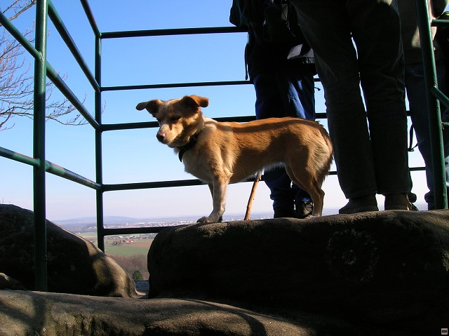 img00092.jpg