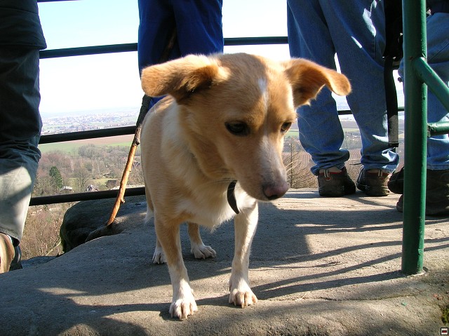 img00093.jpg