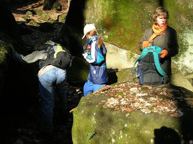 img00100.jpg