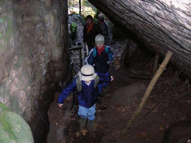img00103.jpg
