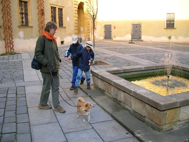 img00104.jpg