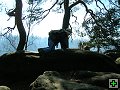 thn00040.jpg
