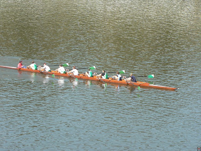 img00035.jpg