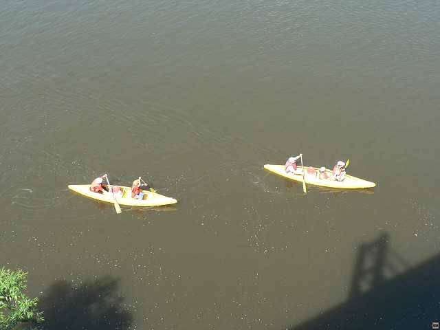 img00040.jpg