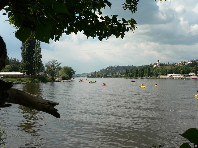 img00042.jpg