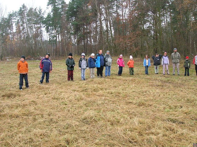 img00013.jpg