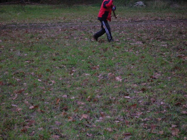 img00028.jpg