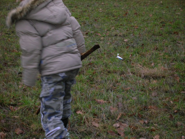 img00029.jpg