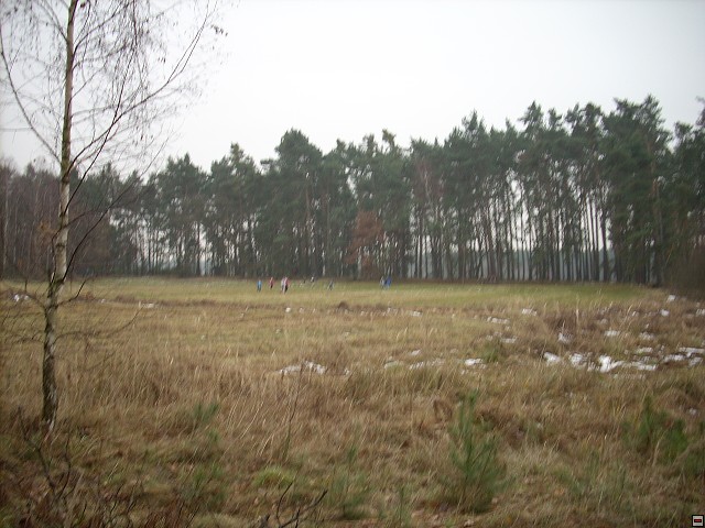 img00076.jpg