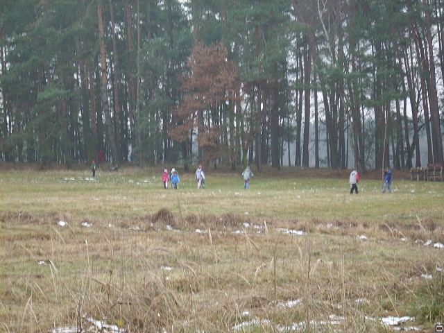 img00077.jpg
