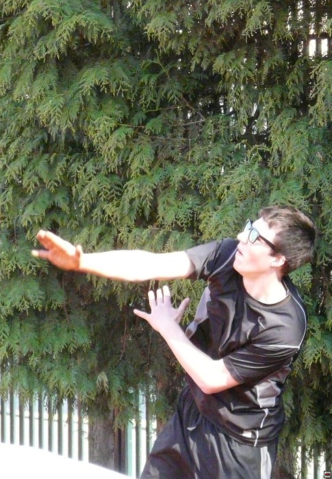 img00136.jpg