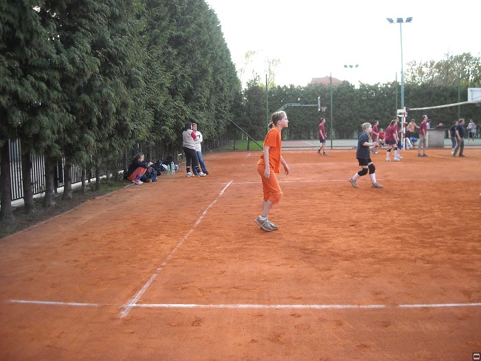 img00050.jpg