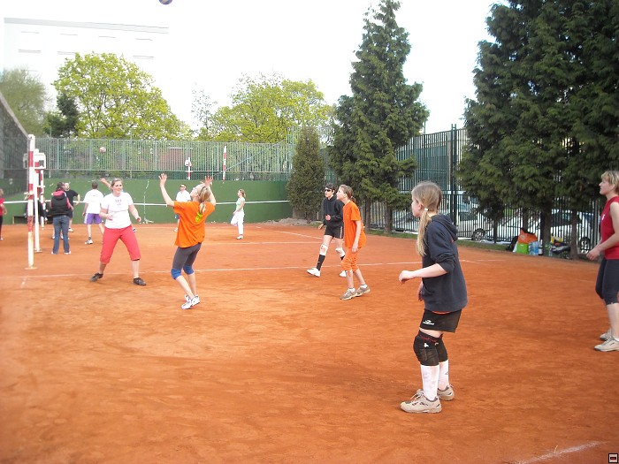 img00081.jpg