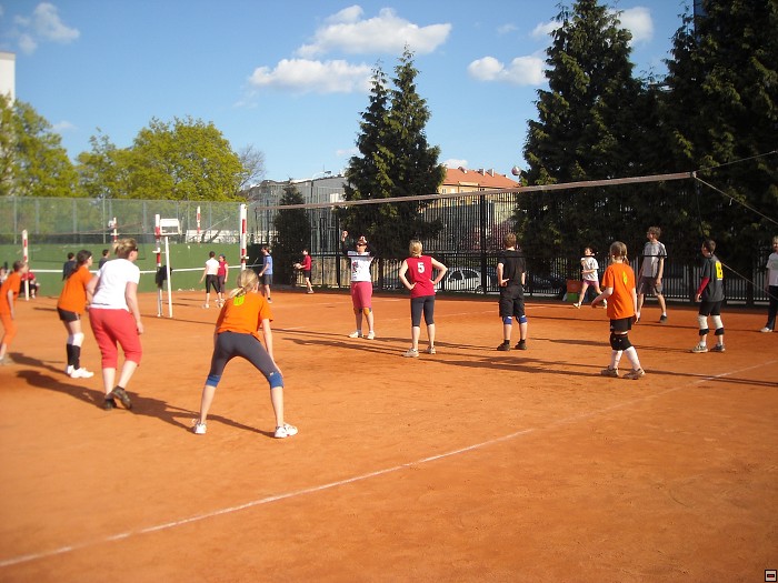 img00105.jpg